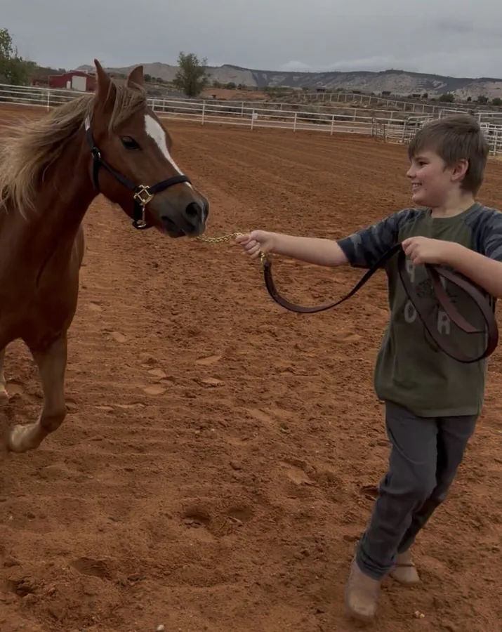 Boy practicing groundwork, leading a pony on a lead rope