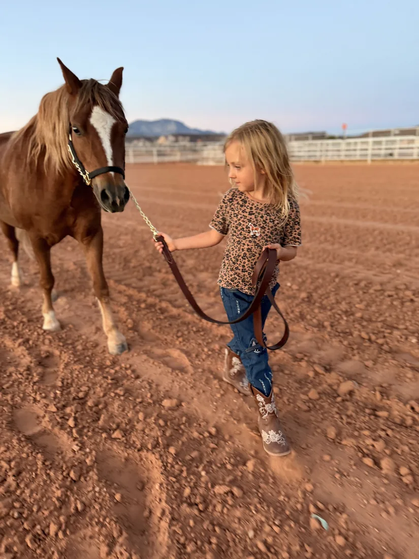 Young student leading a chestnut pony across the arena