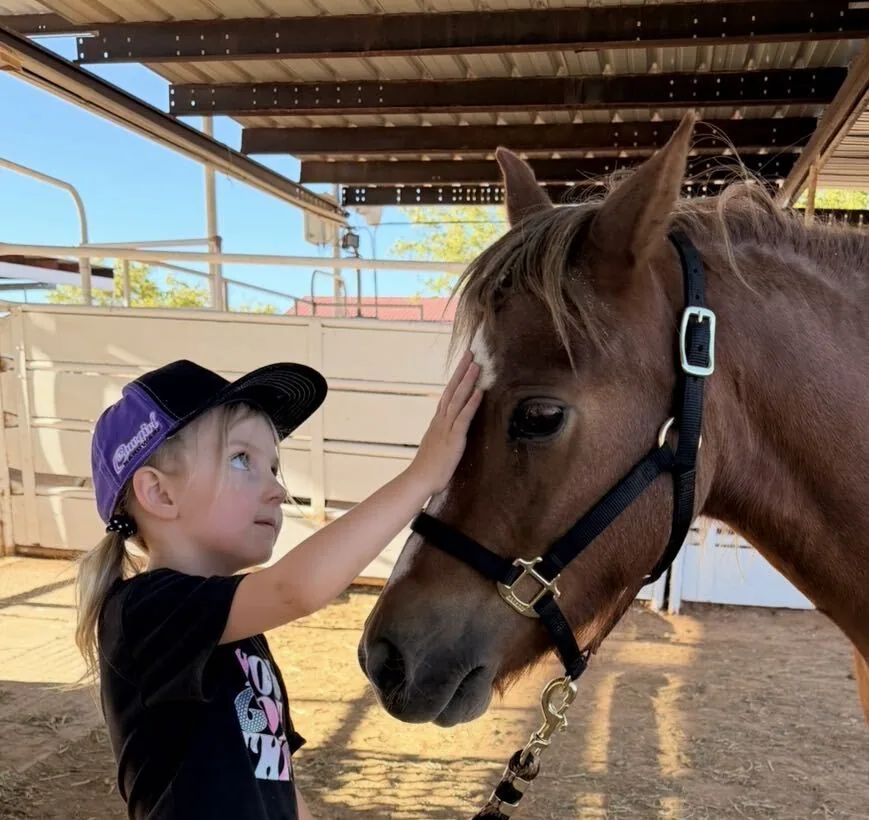 Young girl gently touching a pony's face