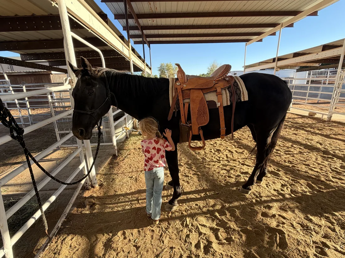 Child standing beside a saddled black horse at the stables
